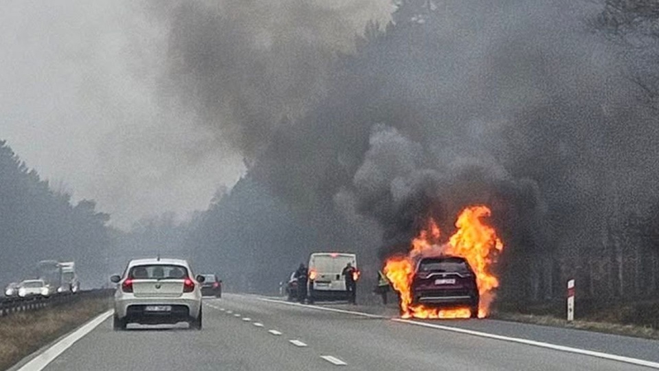 Fot. MaGrupa Suszą! Szczecin/ Mrek Madoń