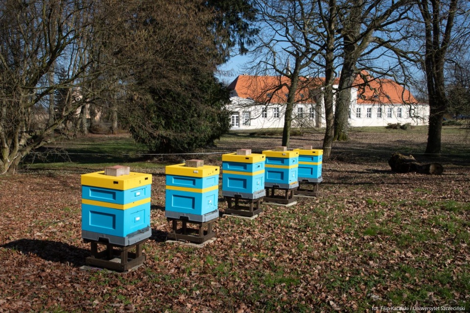 Ośodek US w Kulicach. Mat. US