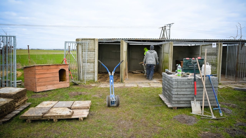 źródło: https://stargard.eu/aktualnosci/remont-na-4-lapy/