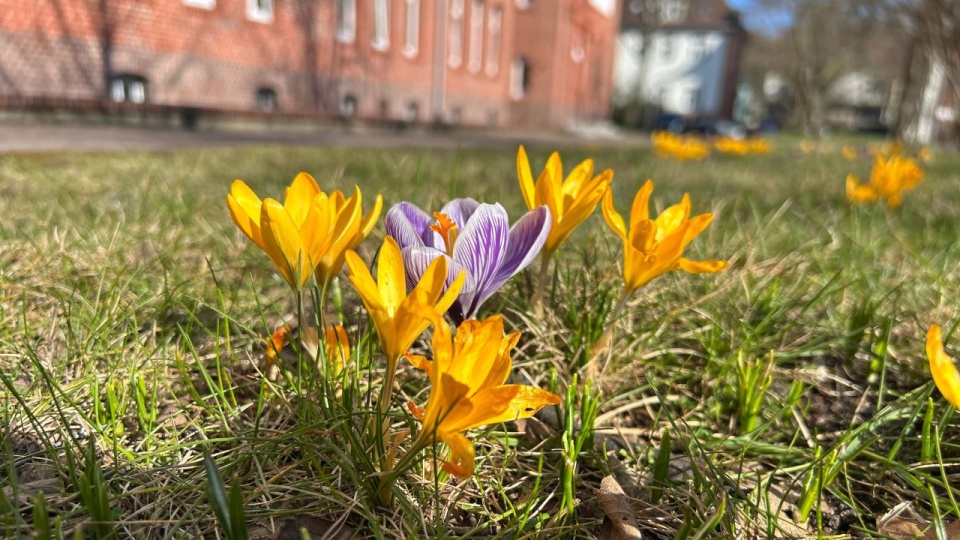 Fot. UM Świnoujście