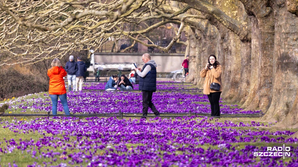 Fot. Robert Stachnik [Radio Szczecin]