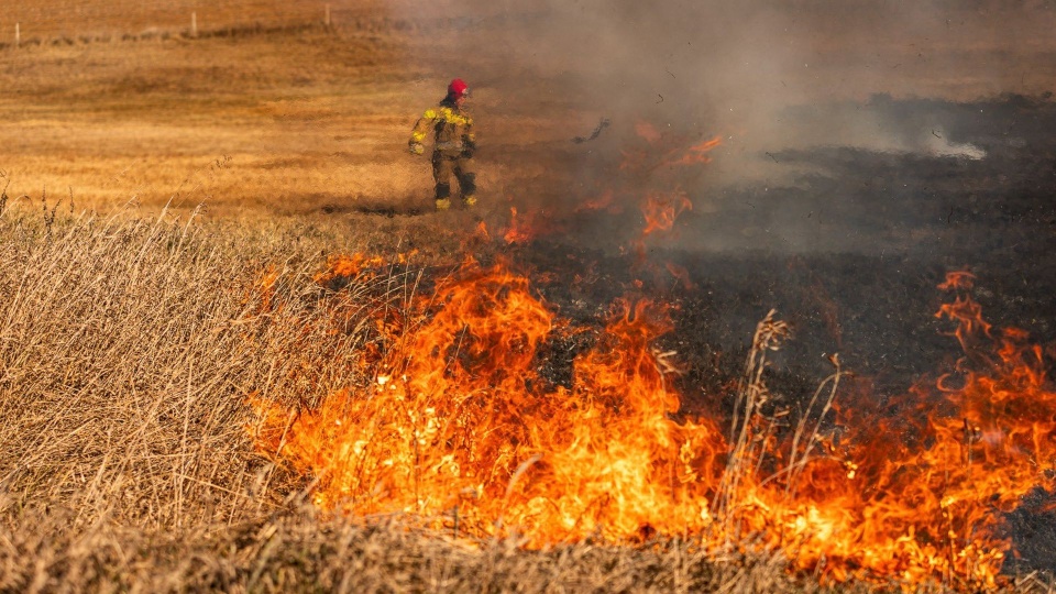 Fot. mł. asp. Łukasz Rutkowski / Państwowa Straż Pożarna