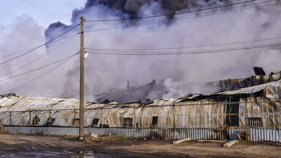 PAP/Alena Solomonova