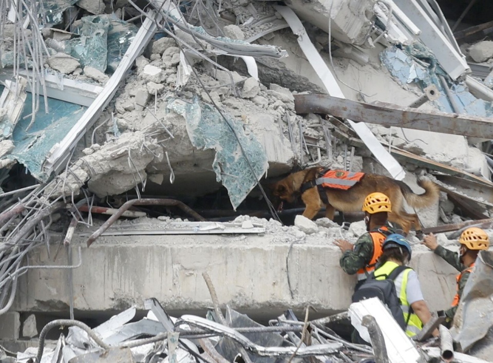 Żołnierze wraz z psem tropiącym przeszukują budynek, który zawalił się w wyniku trzęsienia ziemi w stolicy Tajlandii, Bangkoku. PAP/EPA/Narong Sangnak