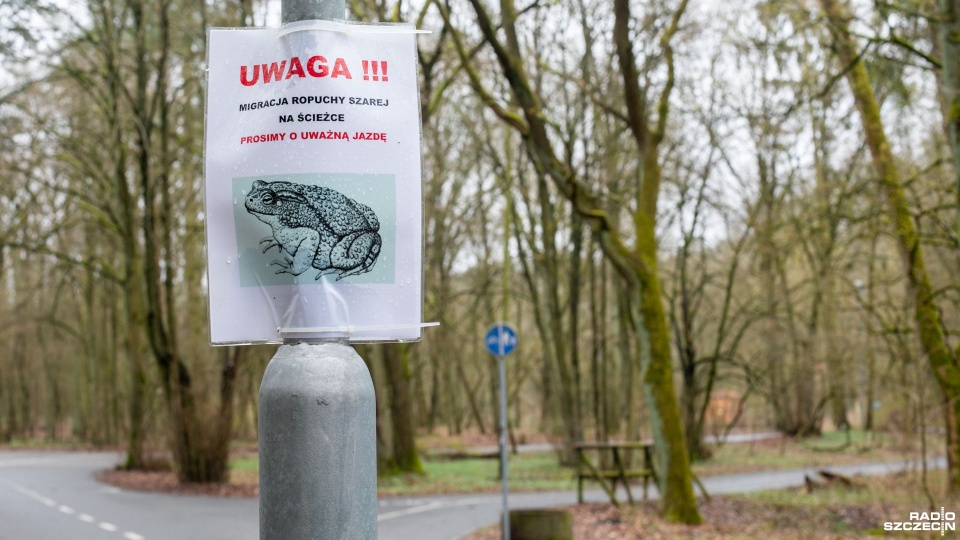 Fot. Weronika Łyczywek [Radio Szczecin]