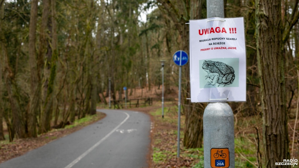 Fot. Weronika Łyczywek [Radio Szczecin]