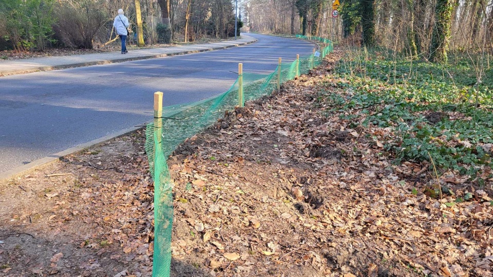 Fot. Urząd Miasta Szczecin