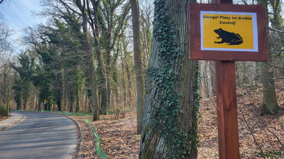 Fot. Urząd Miasta Szczecin