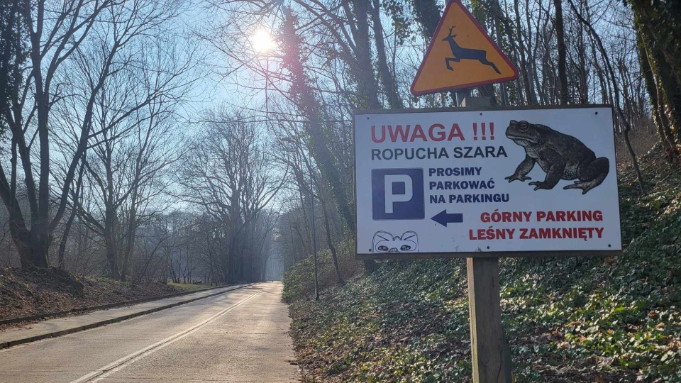Fot. Urząd Miasta Szczecin