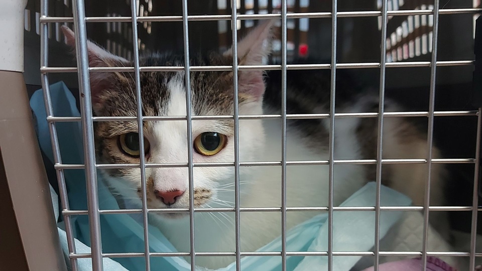 Fot. TOZ Oddział w Szczecinie