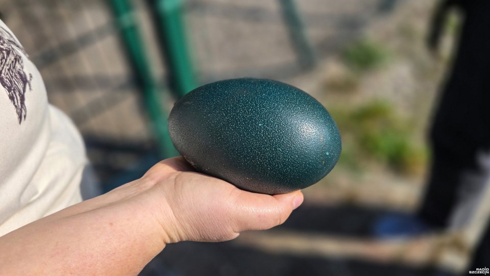 Fot. Wojciech Ochrymiuk [Radio Szczecin]