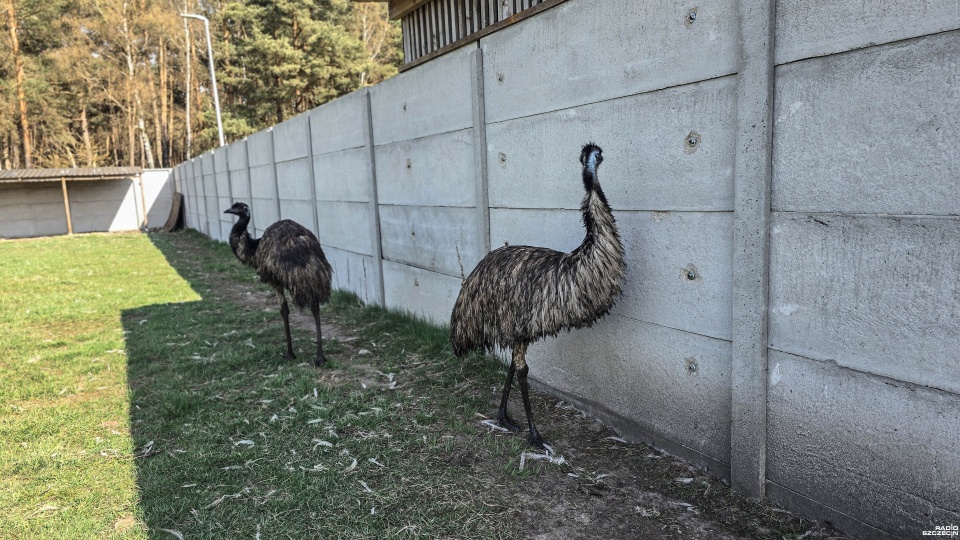 Fot. Wojciech Ochrymiuk [Radio Szczecin]