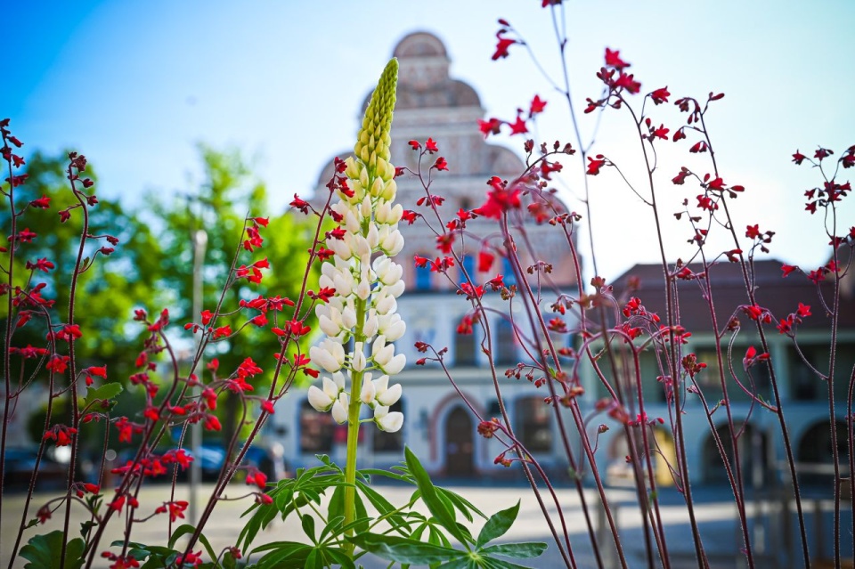 Fot. UM w Stargardzie