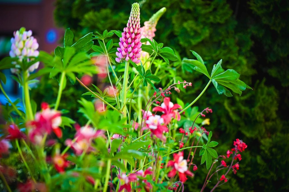 Fot. UM w Stargardzie