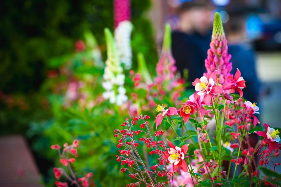 Fot. UM w Stargardzie