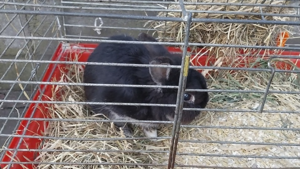 Fot. Policja Zachodniopomorska