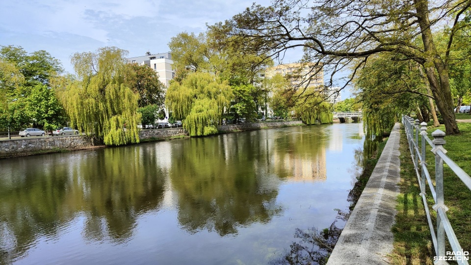 Rzeka Parsęta. Fot. Przemysław Polanin [Radio Szczecin]