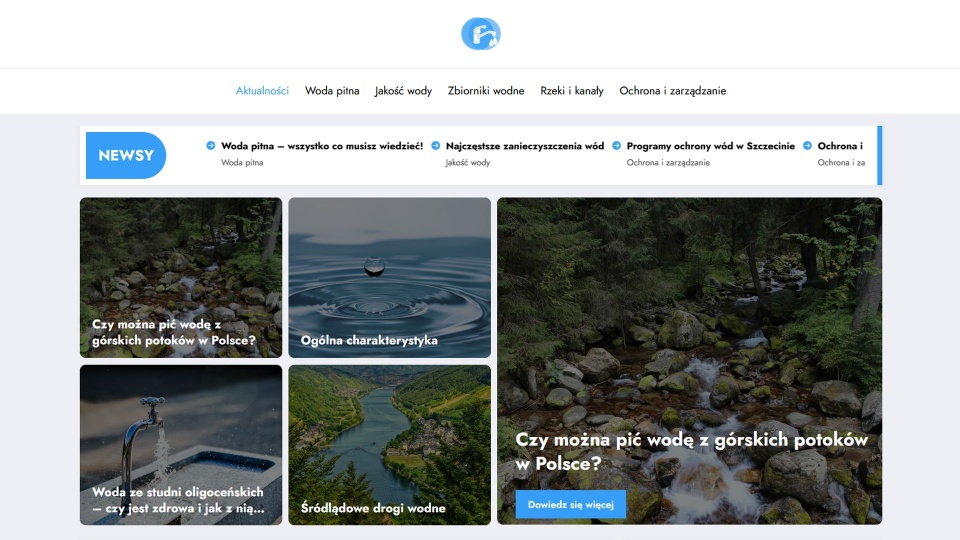 Strona podszywająca się pod szczecińskie Wody Polskie. Źródło: rzgw.szczecin.pl