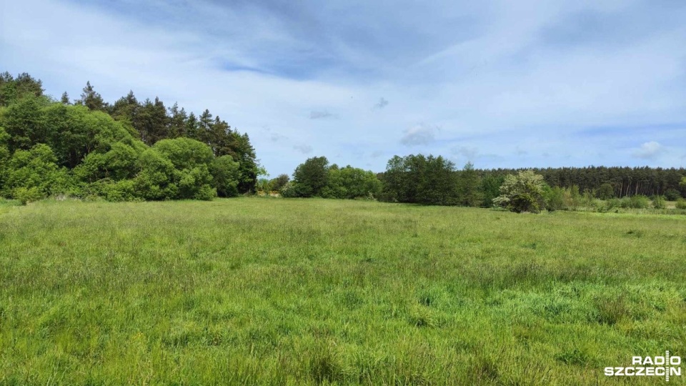 Fot. Przemysław Polanin [Radio Szczecin]