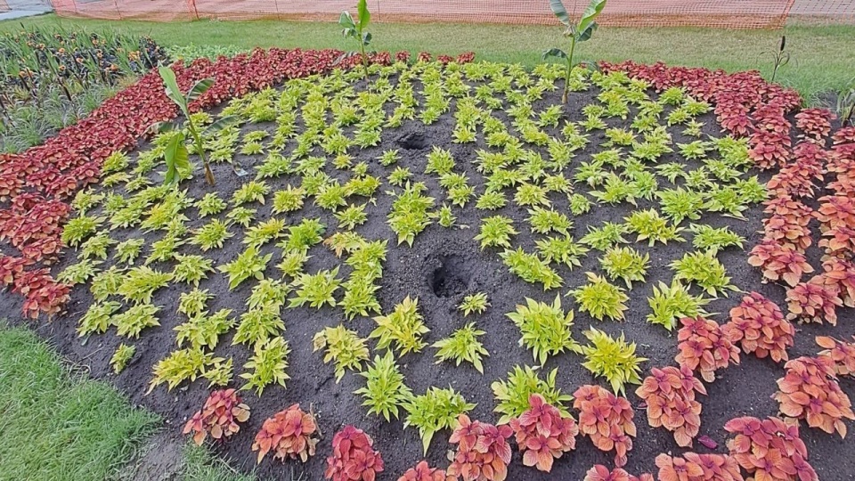 źródło: https://www.facebook.com/PrezydentSzczecina