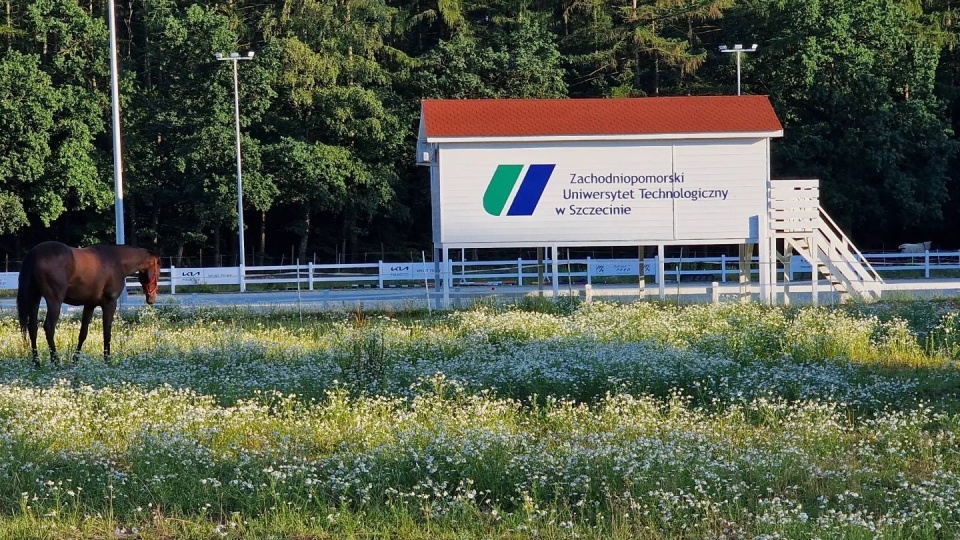 Fot. Akademicki Ośrodek Jeździecki ZUT