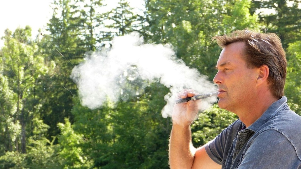 źródło: https://pixabay.com/pl/2634401/silviarita/CC0 - domena publiczna