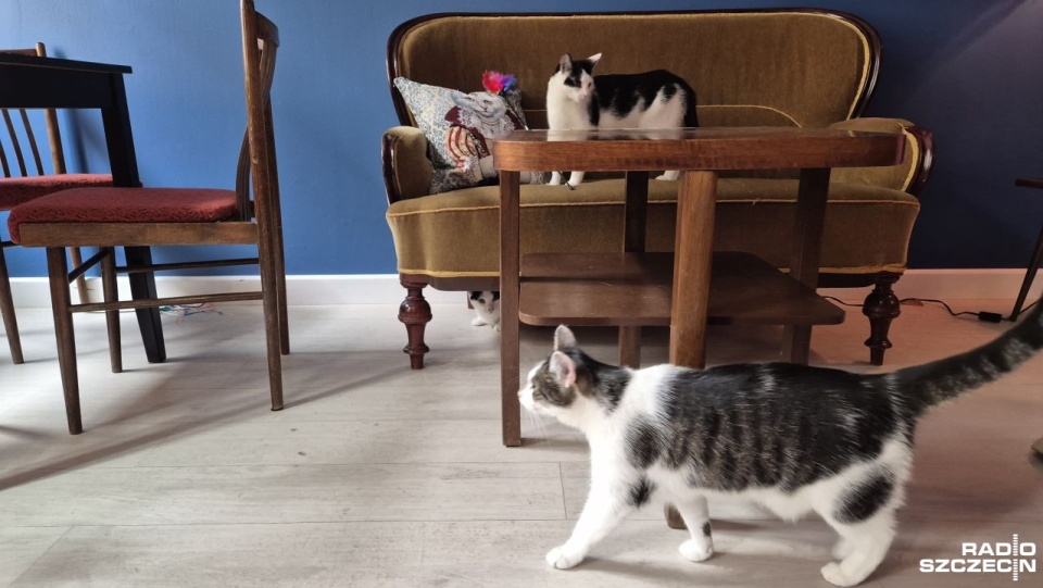 Fot. Wiktoria Rybicka [Radio Szczecin]