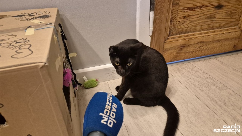 Fot. Wiktoria Rybicka [Radio Szczecin]