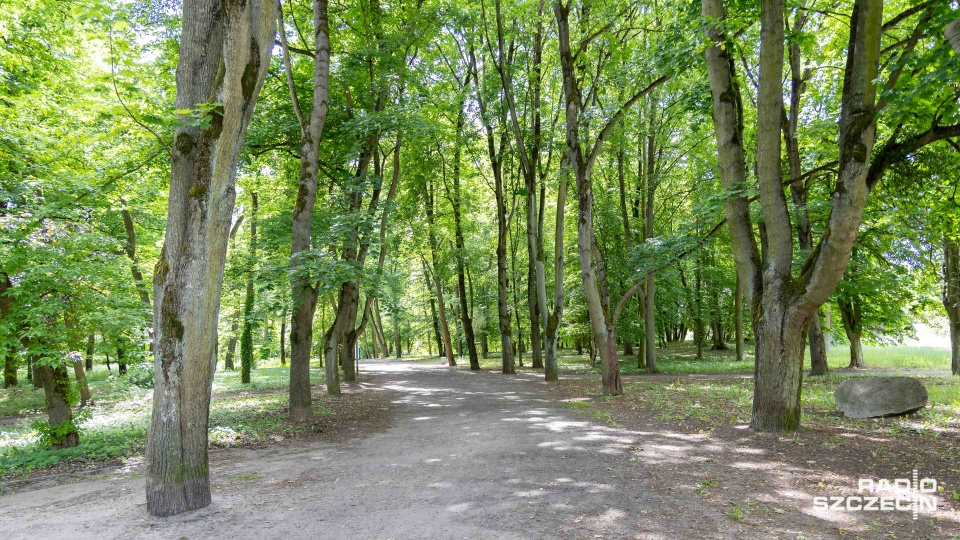 Fot. Robert Stachnik [Radio Szczecin]