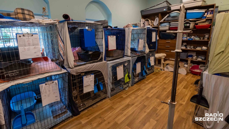 Fot. Robert Stachnik [Radio Szczecin]