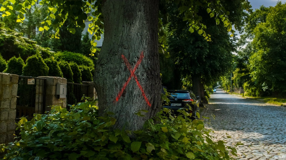 Fot. Wojciech Ochrymiuk [Radio Szczecin]