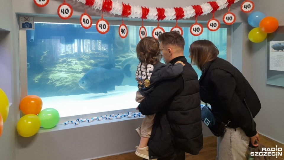 40. urodziny piranii Kasi w Muzeum Rybołówstwa Morskiego w Świnoujściu. Fot. Joanna Maraszek [Radio Szczecin]
