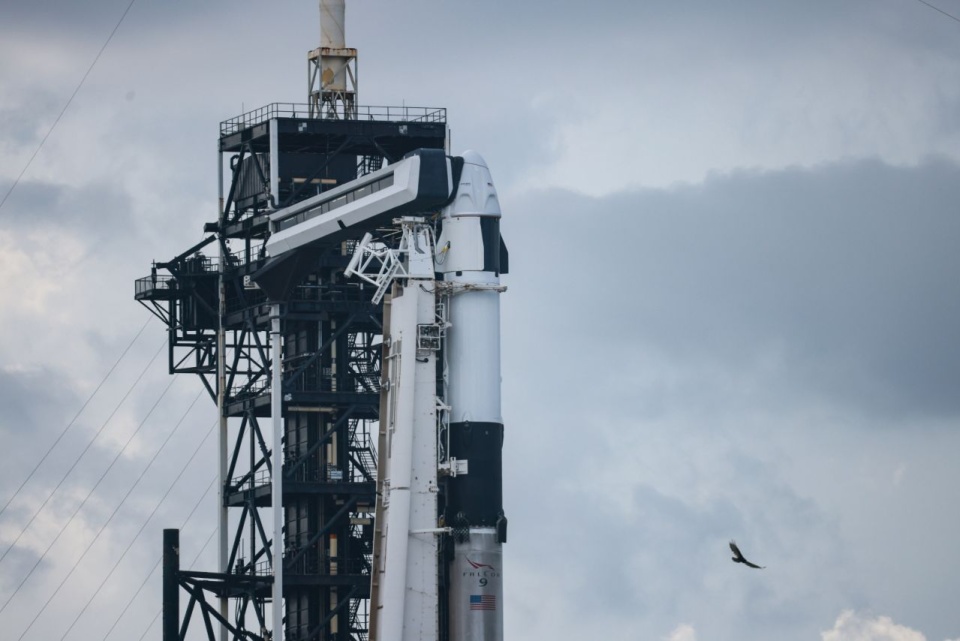 Fot. PAP/Leszek Szymański