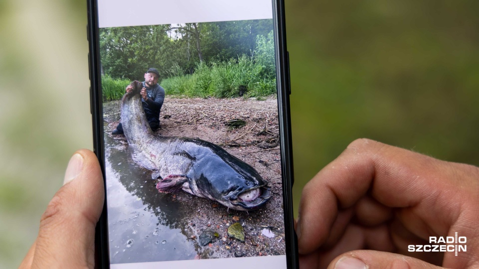 Fot. Robert Stachnik [Radio Szczecin]