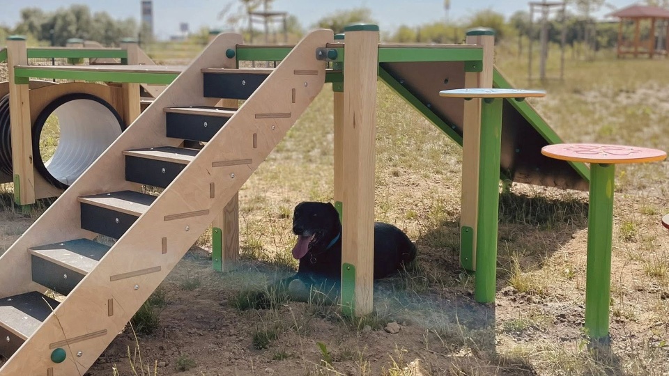 Fot. Schronisko dla Bezdomnych Zwierząt w Szczecinie