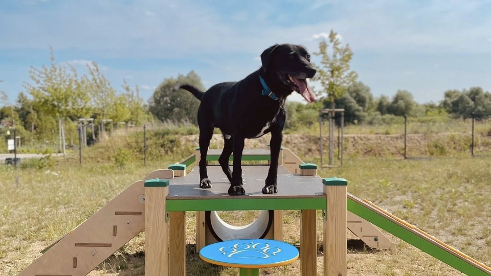 Fot. Schronisko dla Bezdomnych Zwierząt w Szczecinie