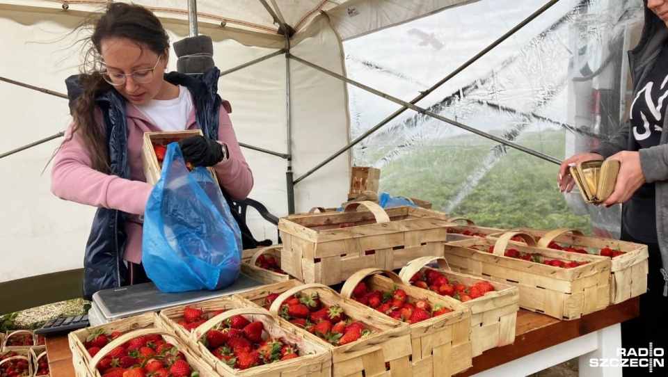 Fot. Joanna Maraszek [Radio Szczecin]