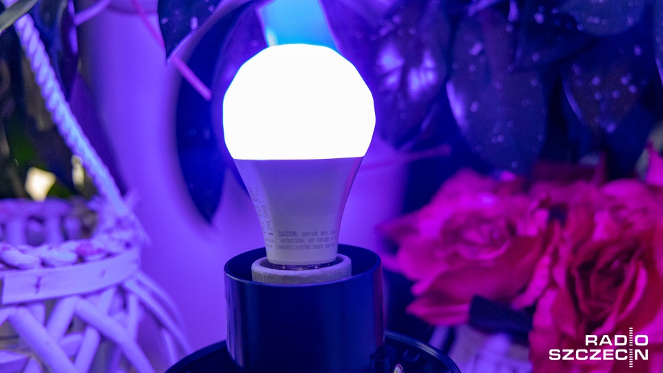 Fot. Robert Stachnik [Radio Szczecin]