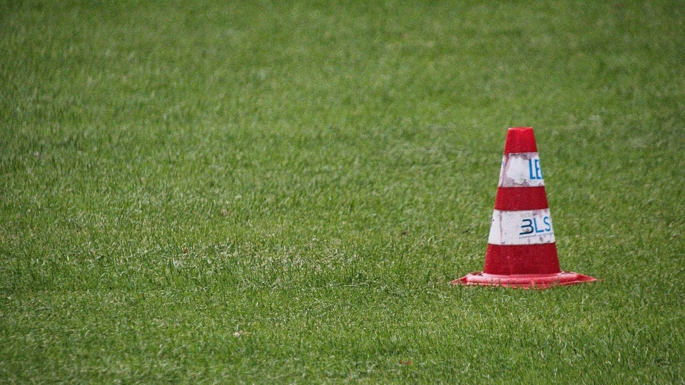 Fot. pixabay.com / planet_fox (CC0 domena publiczna)