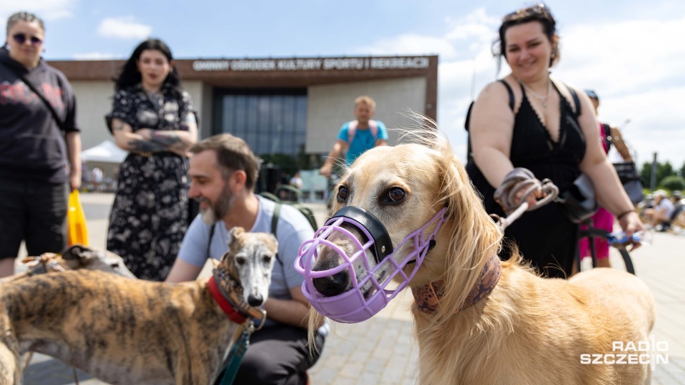 Fot. Robert Stachnik [Radio Szczecin]