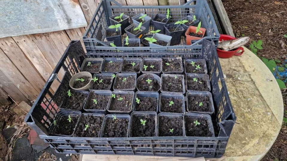 fot. walcz.policja.gov.pl