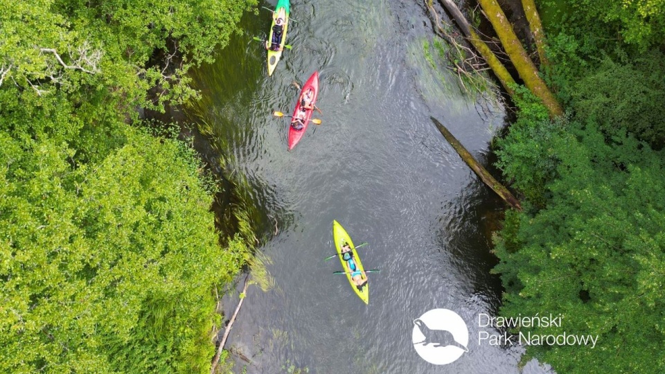 fot. Drawieński Park Narodowy/ Facebook