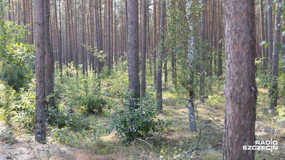 Fot. Robert Stachnik [Radio Szczecin]