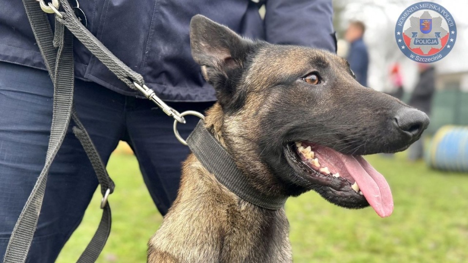 Fot. Komenda Miejska Policji w Szczecinie