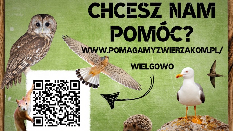 źródło: Fb - Zwierzogród Wielgowo