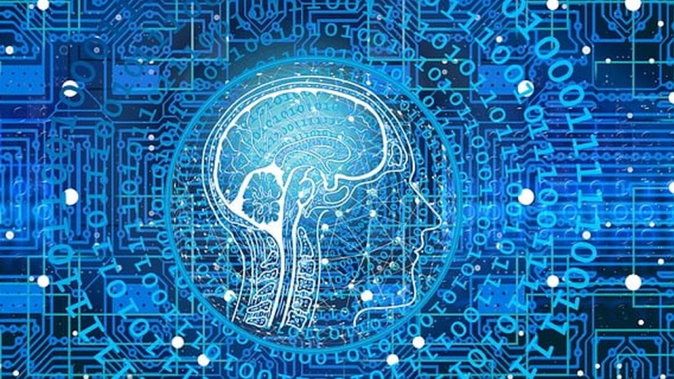 źródło: https://pixabay.com/pl/3706562/geralt/CC0 - domena publiczna