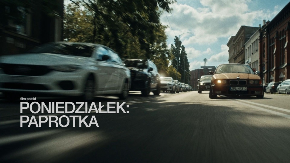 "Poniedziałek: Paprotka". Materiały twórców