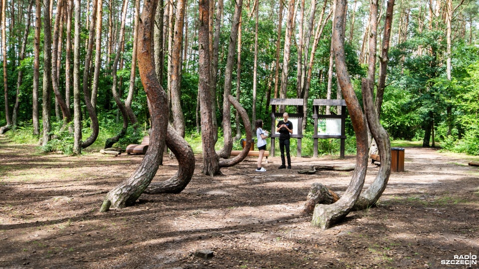Fot. Weronika Łyczywek [Radio Szczecin]