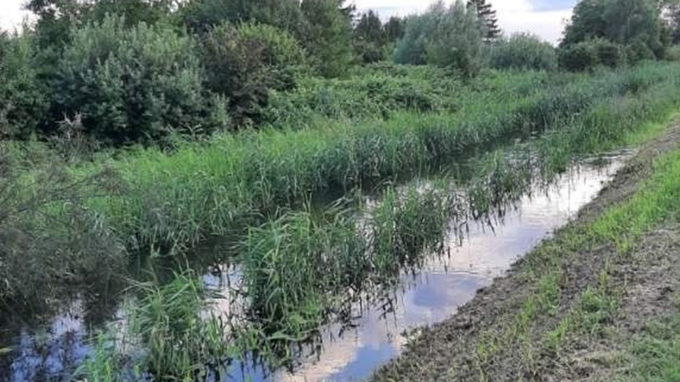 źródło: www.gov.pl