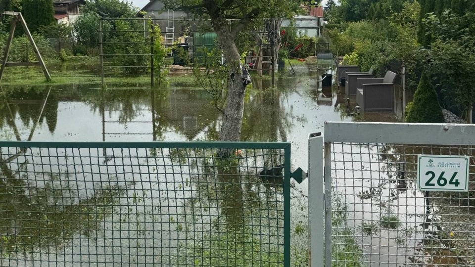 Fot. ROD "Nad jeziorem" w Szczecinie